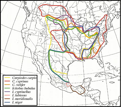 distribution picture