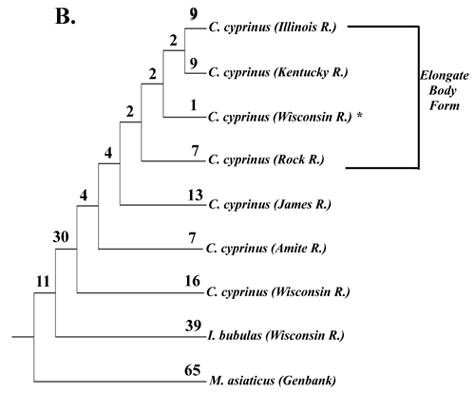 fig6b picture